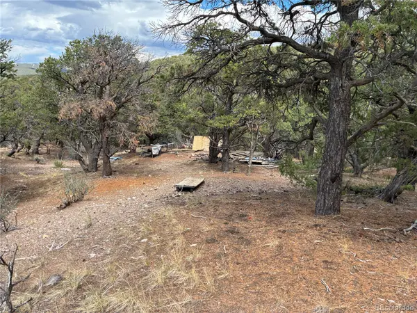 LOT 7908 Blaine RD, Fort Garland, CO 81133