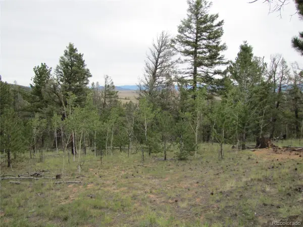 657 Pine LN, Hartsel, CO 80449