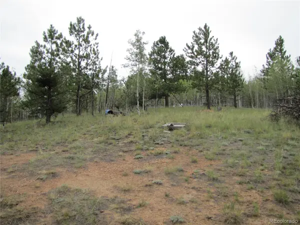 657 Pine LN, Hartsel, CO 80449