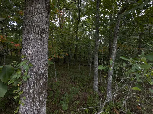 217 Westchester Dr, Crossville, TN 38558