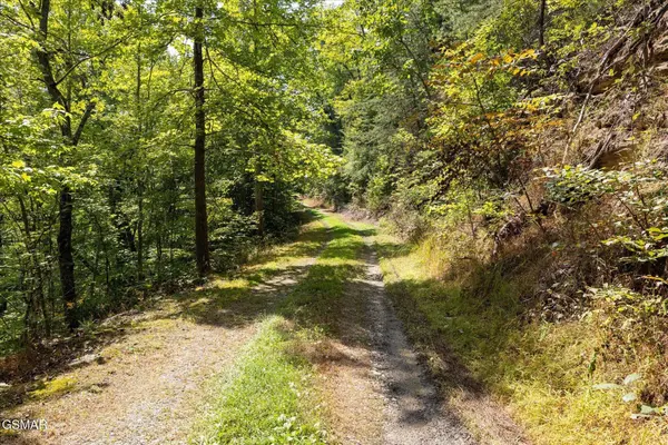 1080 Hembree Hollow Road, Townsend, TN 37882