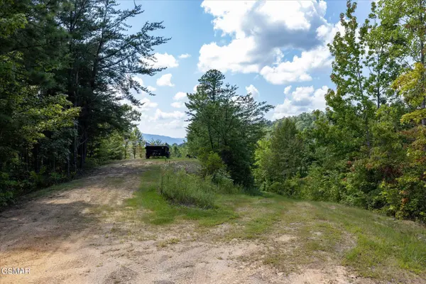 1080 Hembree Hollow Road, Townsend, TN 37882