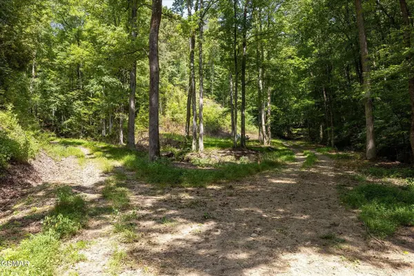 1080 Hembree Hollow Road, Townsend, TN 37882