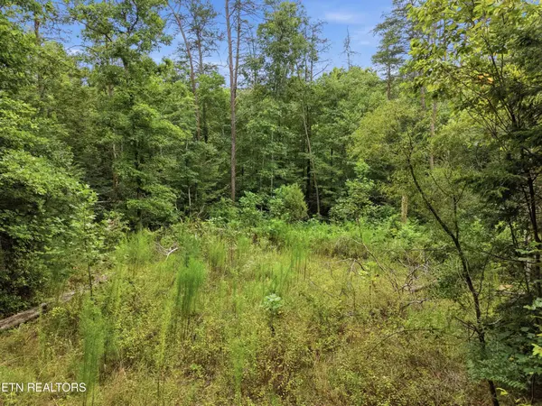 574 River Rd, Crossville, TN 38572