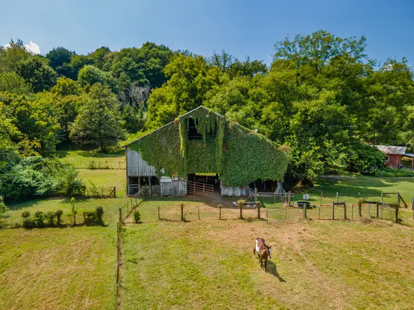 6861 Arno Allisona Rd, College Grove, TN 37046