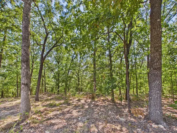 000 Wild Turkey Run, Urbana, MO 65767