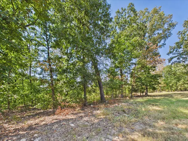 000 Wild Turkey Run, Urbana, MO 65767
