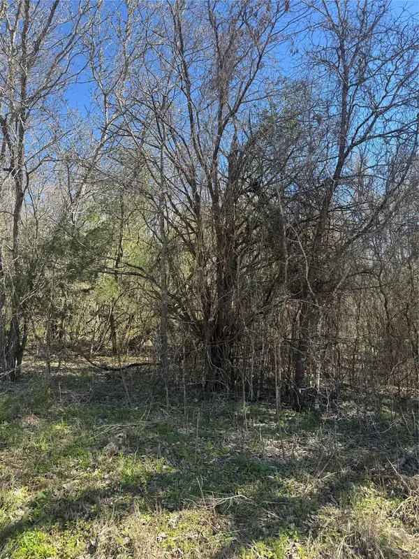 Lots 320 and 321 Kolekole LN, Bastrop, TX 78602