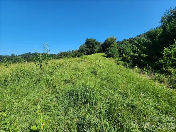 TBD Gid Flynn RD, Marshall, NC 28753