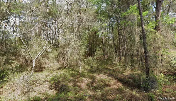 14525 SW 21ST PL, Ocala, FL 34481