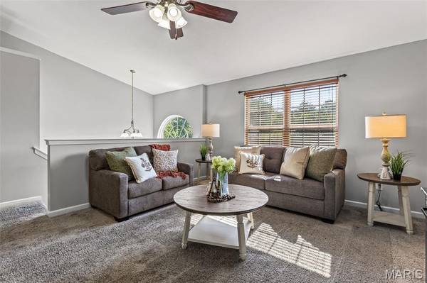 313 Silica DR, Festus, MO 63028