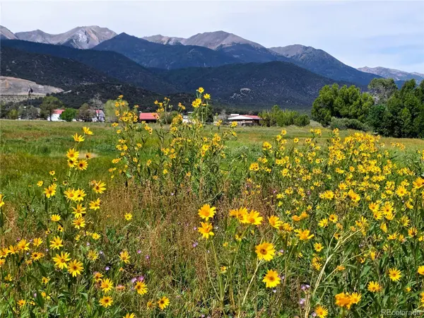 185 County Road 6, Coaldale, CO 81222