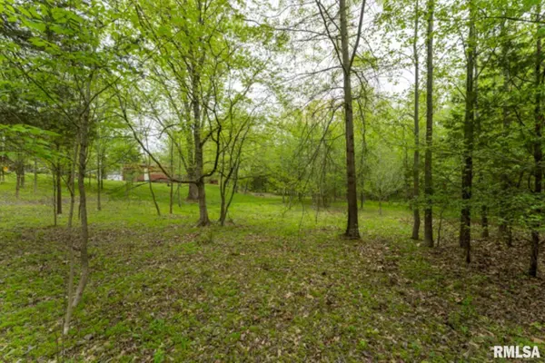 30 Waterfront DR, Creal Springs, IL 62922