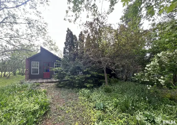 409 N Erickson ST, Bishop Hill, IL 61419