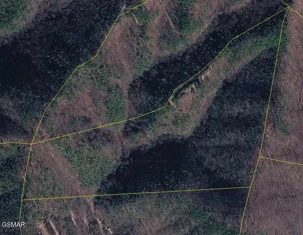 1080 Hembree Hollow Road, Townsend, TN 37882