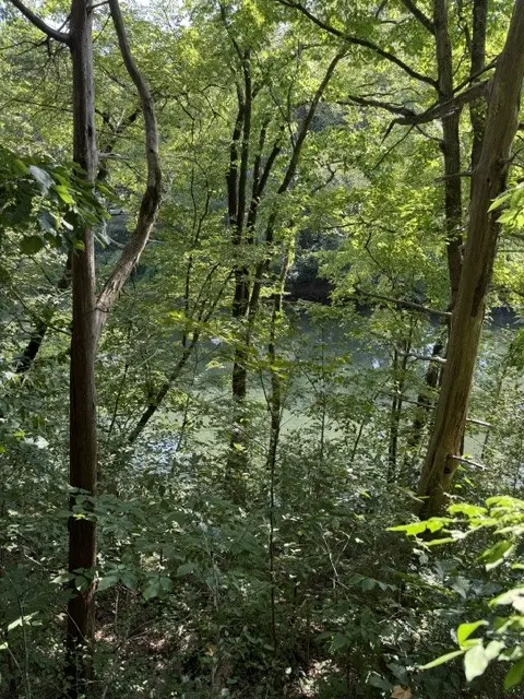 305 S Riverside Dr, Mcminnville, TN 37110