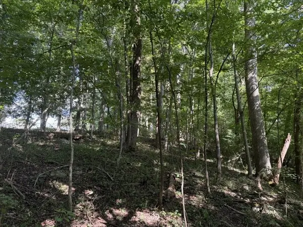 305 S Riverside Dr, Mcminnville, TN 37110