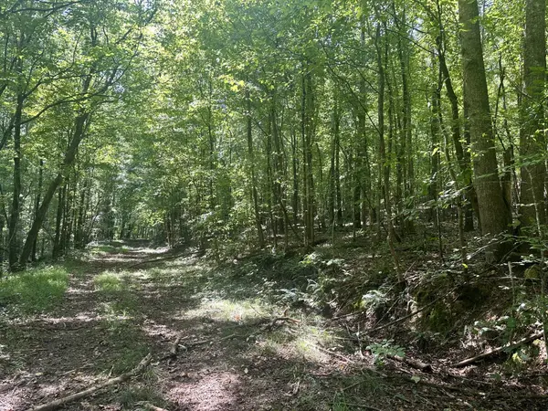 7721 Wayland Springs Rd, Iron City, TN 38463