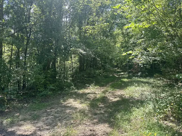 7721 Wayland Springs Rd, Iron City, TN 38463
