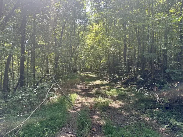 7721 Wayland Springs Rd, Iron City, TN 38463