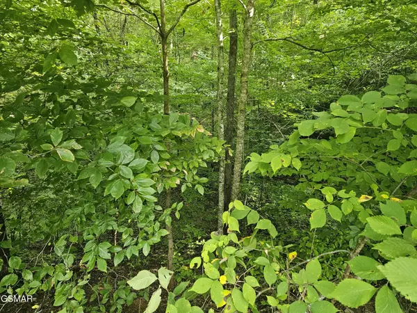 2 Franklin Lane, Sevierville, TN 37876