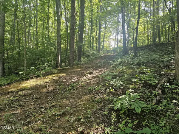 2 Franklin Lane, Sevierville, TN 37876