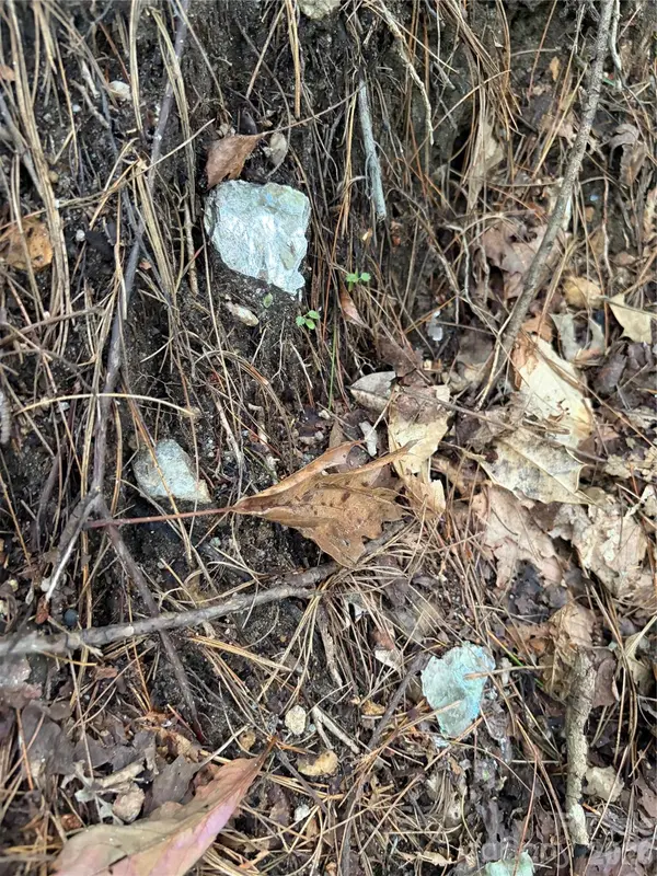 TBD Old Nc Highway 16 HWY, Millers Creek, NC 28651