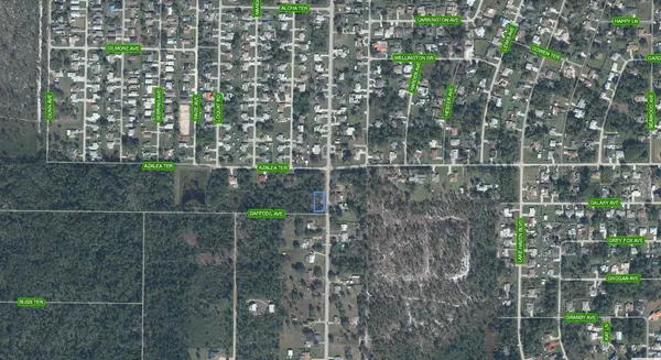 1702 DAFFODIL AVE, Sebring, FL 33875