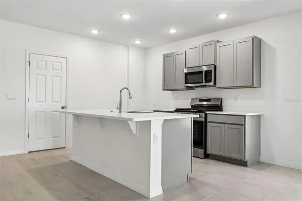 24550 HODGES RESERVE AVE, Howey In The Hills, FL 34737