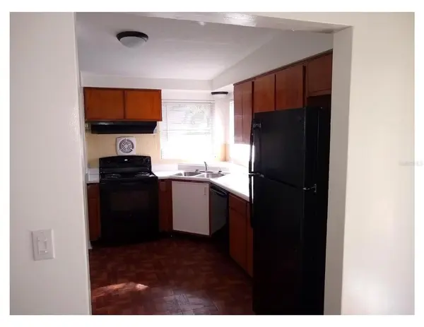 446 NEW YORK AVE, Dunedin, FL 34698