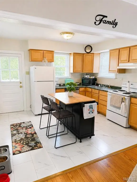227 W Loretta AVE, St Louis, MO 63125