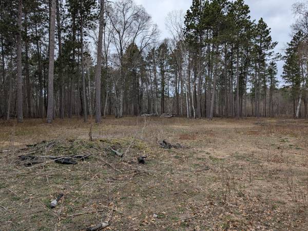 35546 Pine Terrace RD, Crosslake, MN 56442