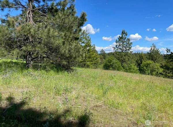 4401 Whittier RD, Clayton, WA 99110
