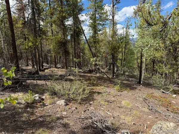 105 Parry Peak DR, Twin Lakes, CO 81251