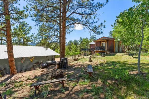 256 Houston ST, Bailey, CO 80421
