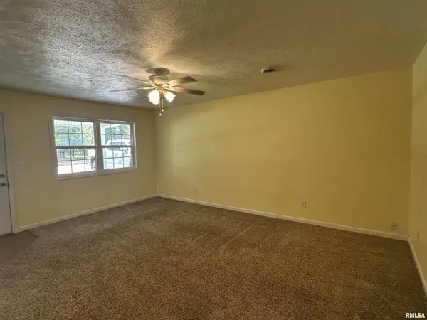 409 E LOGAN ST, Desoto, IL 62924