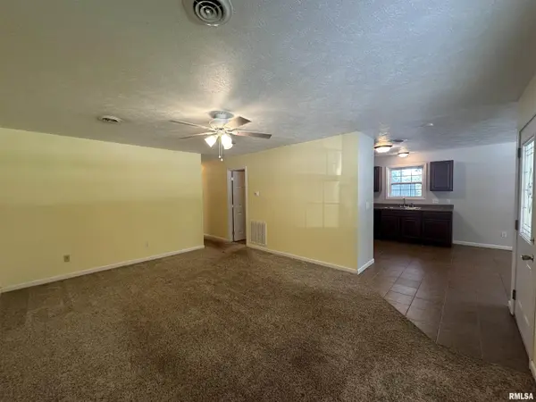 409 E LOGAN ST, Desoto, IL 62924