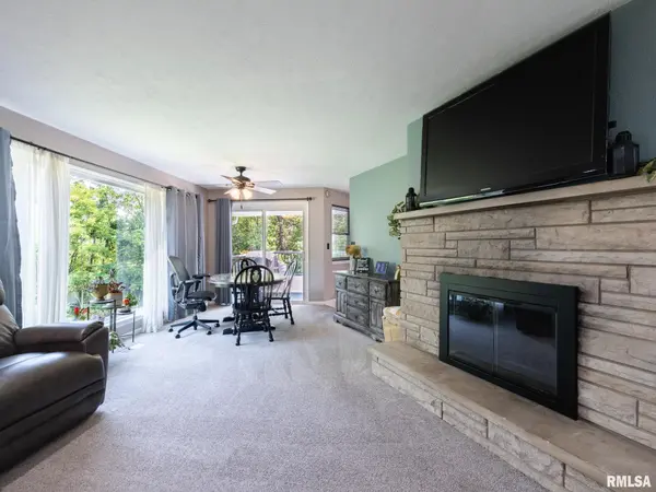 2010 E PARIS AVE, Peoria, IL 61614
