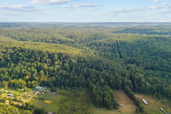 107 Possum Trot Ln, Linden, TN 37096