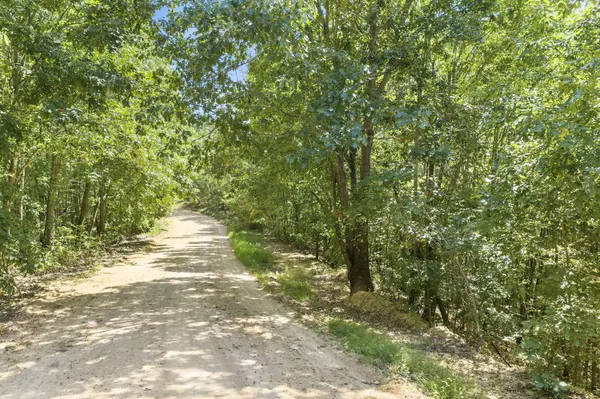 0 Scott Ridge Rd, Waynesboro, TN 38485