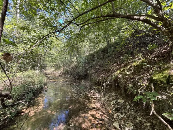 000 County Road 114, Ava, MO 65608