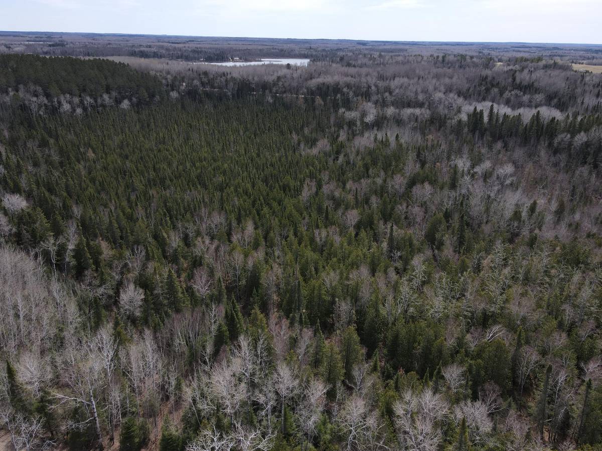TBD CO Rd 40, Effie, MN 56639
