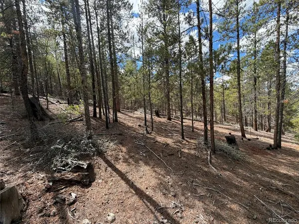 105 Parry Peak, Twin Lakes, CO 81251