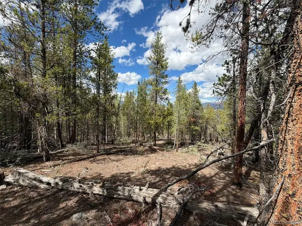 105 Parry Peak, Twin Lakes, CO 81251