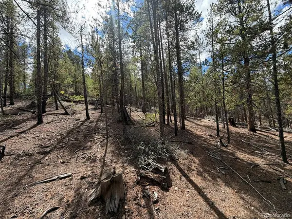 105 Parry Peak, Twin Lakes, CO 81251