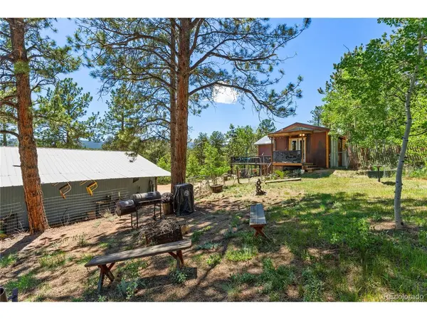256 Houston, Bailey, CO 80421
