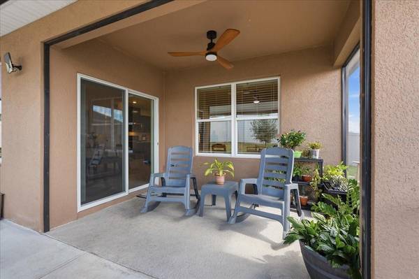 1113 GRIFFON AVE, Lake Alfred, FL, 33850 photo 32