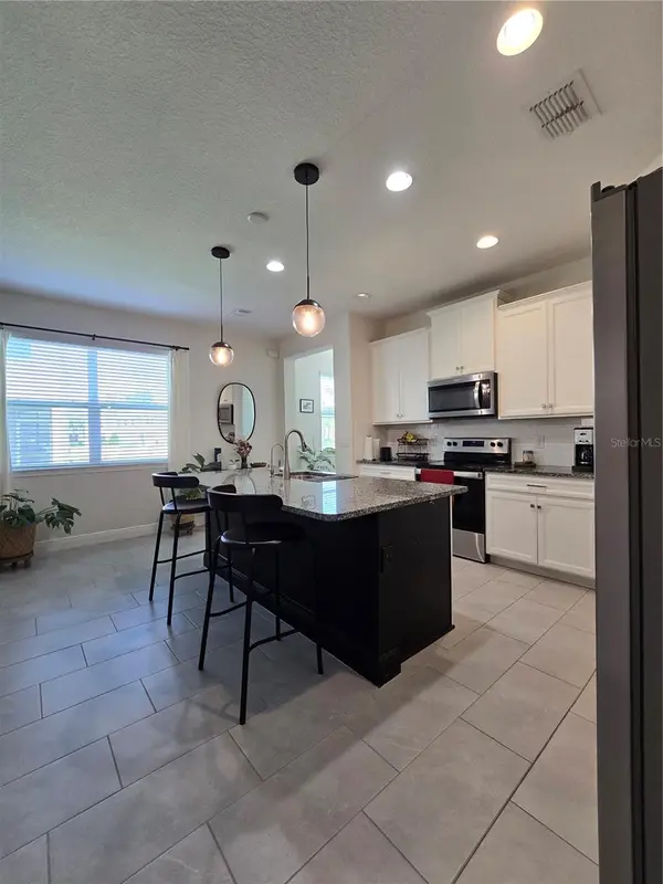 14162 DAMSELFLY DR, Tampa, FL 33625