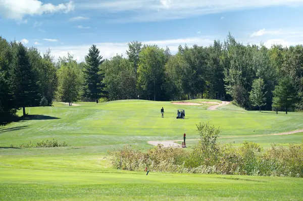 TBD Lot 11 Blk 4 Pine Tree LN, Coleraine, MN 55722