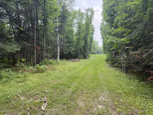 TBD Cedar Point Road, Marcell, MN 56657